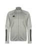 adidas Performance Trainingsjacke Condivo 20 in grau / schwarz