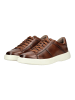 Pius Gabor Sneaker Cognac