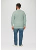 s.Oliver Strickpullover in 7211_salbeigrün