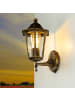 Licht-Erlebnisse Außen Wandlampe (B)17 x (H)36 cm in Gold Antik