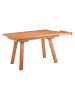58 aufm Kessel ESSZIMMERTISCH ausziehbar Davilla 125x85x75 Massivholz Kernbuche