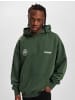 PEGADOR PEGADOR Hoodie in green