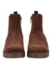 Gabor Stiefelette in Cacao