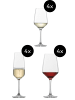 Schott Zwiesel 12-tlg. Gläser-Set Tulip in Transparent – in transparent