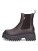 Buffalo Chelsea Boot Aspen Chelsea Warm in Braun
