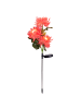 näve LED Solarleuchte "BLUME" in rosé/lachs - (L)12 cm x (B)12 cm x (H)79 cm