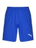 Puma Trainingsshorts TeamGoal 23 Knit in blau