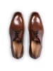 LLOYD Schuhe STANTON in BRAUN