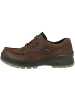 Ecco Sneaker low Track 25 in braun