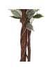 Atmosphera Créateur d'intérieur Künstlicher Ficus in grün