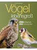 Heel Verlag Buch - Vögel lebensgroß