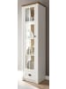 Furn.Design Vitrine weiß Pinie, Eiche hell Landhaus, Vitrinenschrank 50 x 198 cm