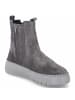 Gabor Chelsea Boots in grau