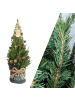 NatureNest Weihnachtsbaum mit Beleuchtung Pineconelight in Xmas Bag blau 
