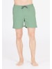 Cruz Shorts Eyemouth in 3138 Green Bay