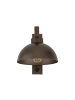 Licht-Erlebnisse Wandlampe (B)18 x (H)20 cm in Walnuss Braun