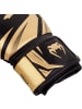 Ventura Venum Boxhandschuhe Challenger 3.0 14 Oz, schwarz gold