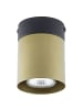 Licht-Erlebnisse Deckenlampe Ø 8 x (H)10.5 cm in Schwarz Gold