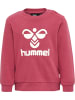 Hummel Kinder Trainingsanzug "Arine Crewsuit" in Rot