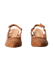 Findlay Pumps mit Absatz Braun