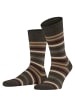 Falke Socken Tinted Stripe in Beech