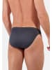 HOM Slip / Unterhose Premium Cotton in Grau / blau