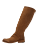 Felmini Stiefel GREDO in Braun