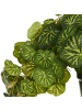 Beliani Kunstpflanze STRAWBERRY BEGONIA in Grün/Schwarz - (W) 28 x (H) 37 x (L) 28 cm