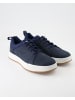 Timberland Sneaker low in Blau