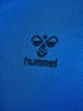 Hummel Sweatshirt Mit Kurzem Reißverschluss Hmlactive Pl Half Zip in PRINCESS BLUE