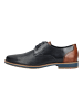 LLOYD Businessschuhe in Blau/Braun