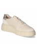 Paul Green Schnürhalbschuh in beige