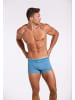 wavebreaker Badehose in blau