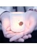 Mr. & Mrs. Panda Windlicht Milch Keks ohne Spruch in Transparent