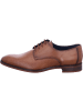 LLOYD Business Schuhe für Herren in mittel-braun