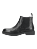Steve Madden Stiefelette BRONN in Schwarz/Schwarz