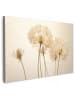 OnlyWow Leinwand Bilder Flaum
