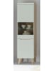 Furn.Design Vitrine Pistazie grün, Eiche, skandinavisch 53 cm, Standvitrine mit Soft-Close