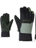 Ziener LANUS AS PR GLOVE in Grün