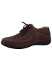 Josef Seibel Schnürer Anvers 08 in Braun