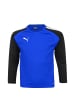 Puma Trainingstop TeamLIGA in blau