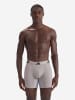 adidas Boxer Active Flex Ergonomic in schwarz, hellgrau