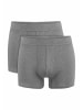 Hessnatur Pants im 2er-Pack in grau