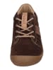 KOEL Sneaker Low BLAKE SUEDE in braun