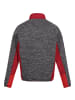 Regatta Fleecejacke Coladane IV in Rot