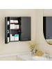 Kleankin Medizinschrank-55L x 18B x 60H cm-Kohlegrau