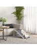 Pawhut Hunderampe Weiß+Grau 125L x 40B x 35,5H cm