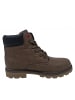 Levis Schnürstiefel New Forres in Braun