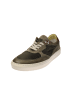 MJUS Sneaker low 379103-101-0002 in Braun