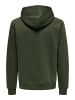 ONLY & SONS Kapuzenpullover in Rosin